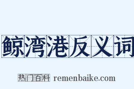 鲸湾港反义词是什么意思的图片